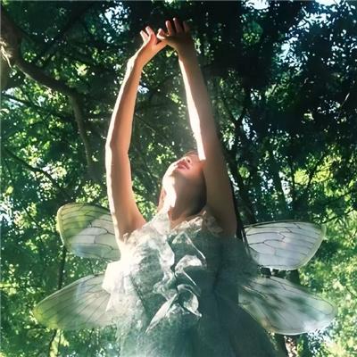 离婚后我让渣男牢底坐穿