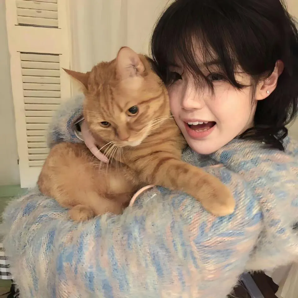 复沦陷之傅总哭红眼